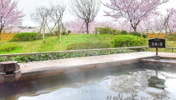 休暇村 越前三国オートキャンプ場