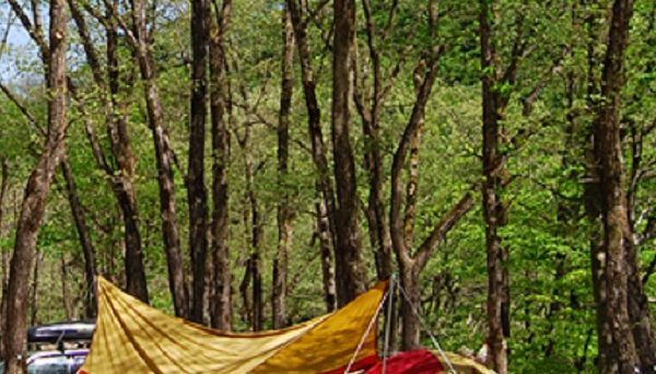 佐渡関岬オートキャンプ場