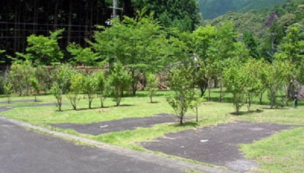 円満地公園オートキャンプ場