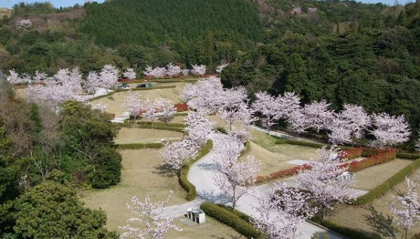 冠山総合公園オートキャンプ場