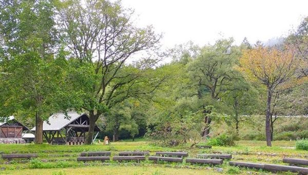 利賀国際キャンプ場