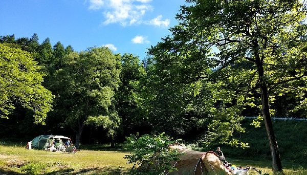利賀国際キャンプ場