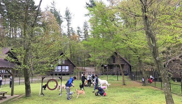 三瓶山北の原キャンプ場
