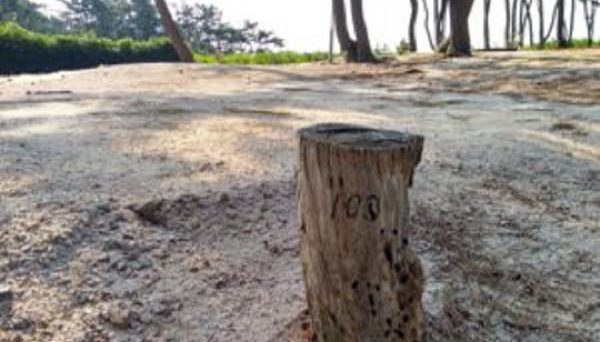 北条オートキャンプ場