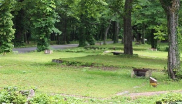 十和田湖生出キャンプ場