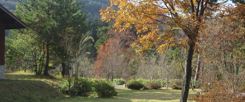 十種ヶ峰ウッドパークオートキャンプ場