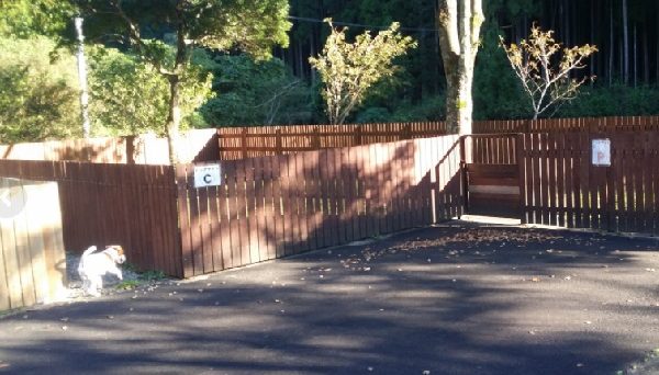 千枚田オートキャンプ場