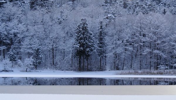 四尾連湖 水明荘キャンプ場