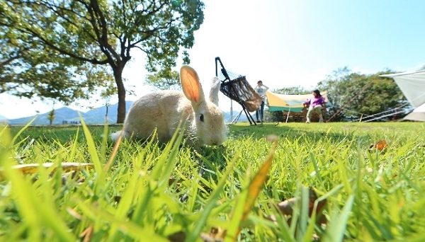 休暇村大久野島キャンプ場 休暇村大久野島キャンプ場