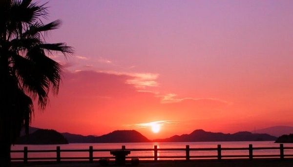 休暇村大久野島キャンプ場 休暇村大久野島キャンプ場