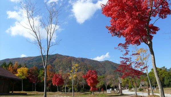 大佐山オートキャンプ場