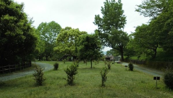 大洲家族旅行村オートキャンプ場