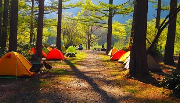 森のリゾート小梨・小梨平キャンプ場