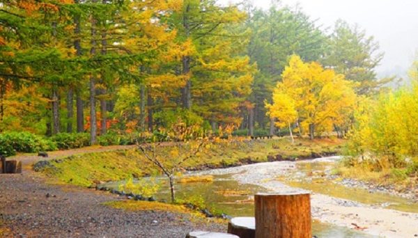 森のリゾート小梨・小梨平キャンプ場