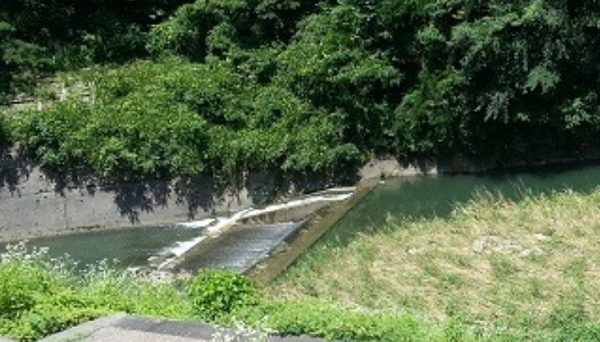 島根県立道猿坊公園キャンプ場