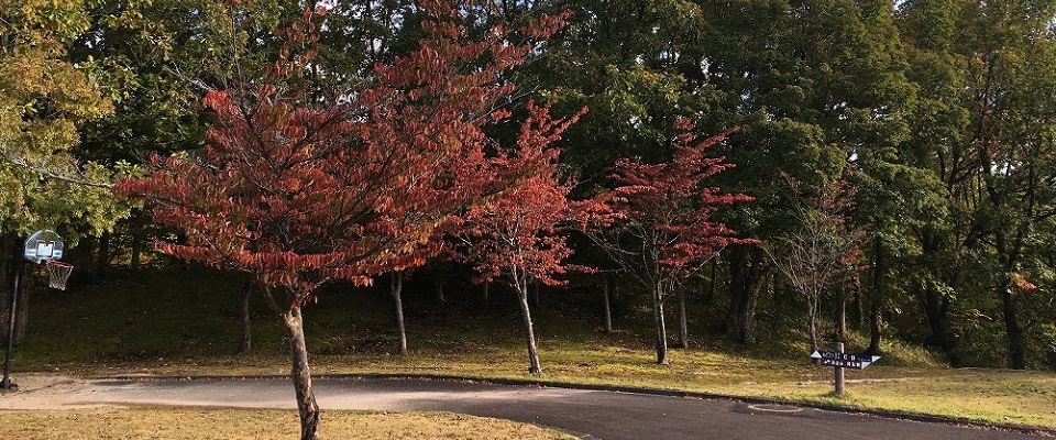 恩原高原オートキャンプ場