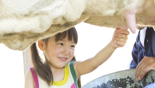 成田ゆめ牧場ファミリーオートキャンプ場