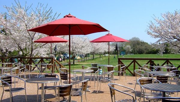 成田ゆめ牧場ファミリーオートキャンプ場