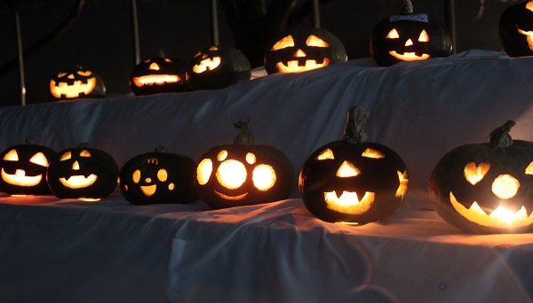 成田ゆめ牧場ファミリーオートキャンプ場