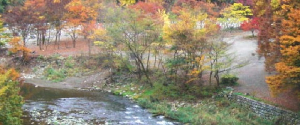 新戸キャンプ場