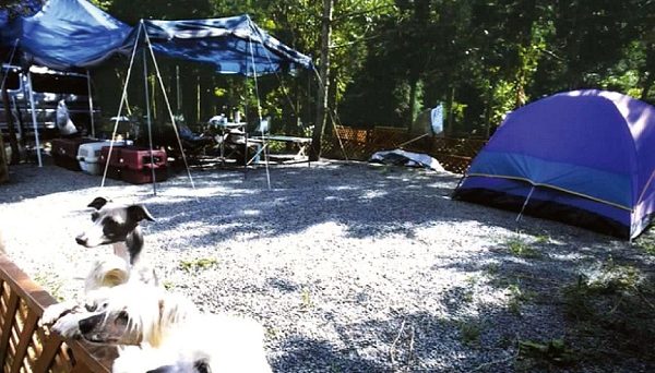 明野高原キャンプ場 明野高原キャンプ場