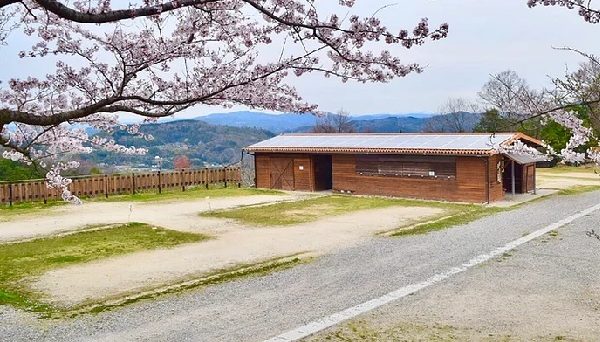 星空感オートキャンプ場