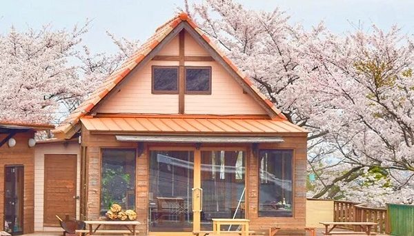 星空感オートキャンプ場