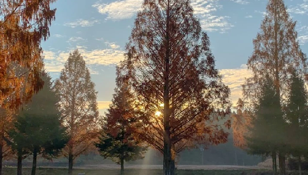 服掛松キャンプ場