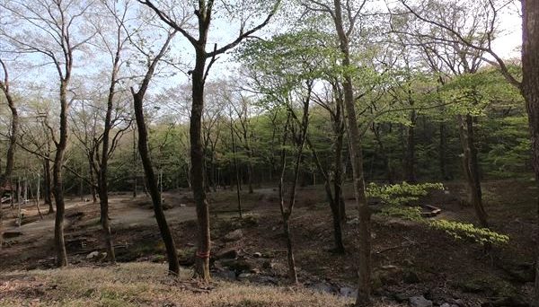 栃木県県民の森キャンプ場