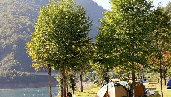 桂湖オートキャンプ場