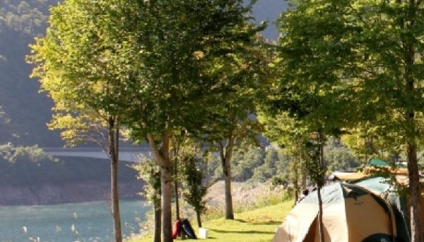 桂湖オートキャンプ場