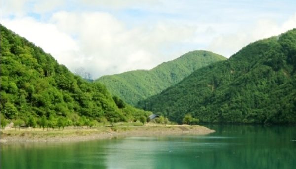 桂湖オートキャンプ場