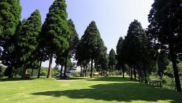 歌瀬キャンプ場