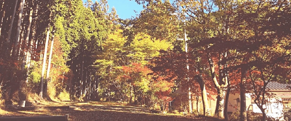 フォレスト・イン洞川キャンプ場