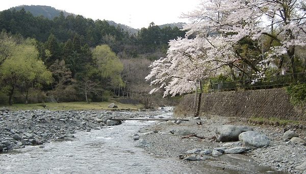 滝沢園キャンプ場