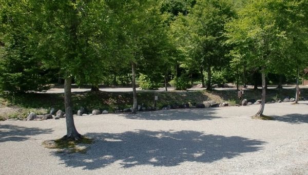 白い森オートキャンプ場 白い森オートキャンプ場