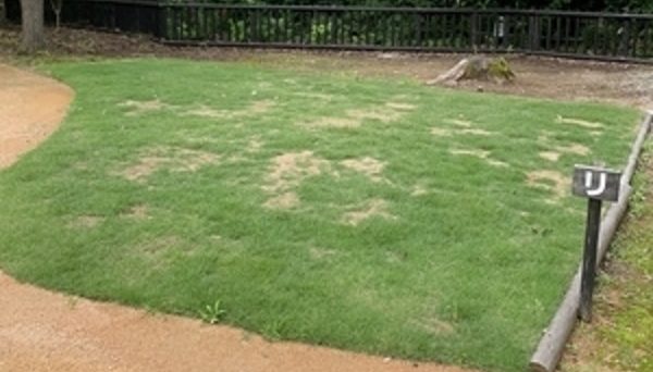 白山吉野オートキャンプ場