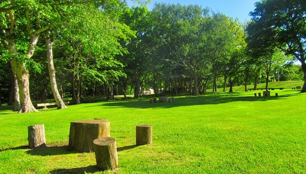 百人浜オートキャンプ場