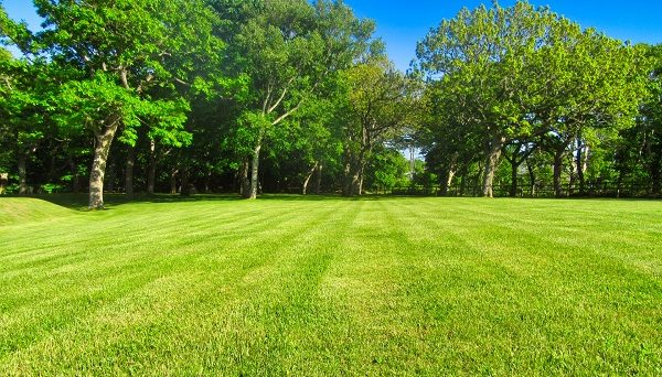 百人浜オートキャンプ場