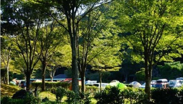 秋吉台オートキャンプ場