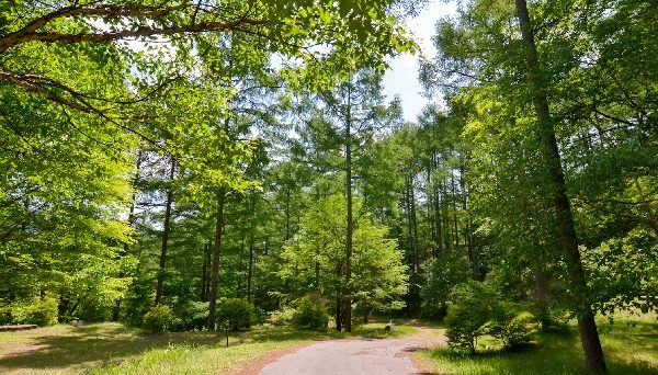 立原高原キャンプ場