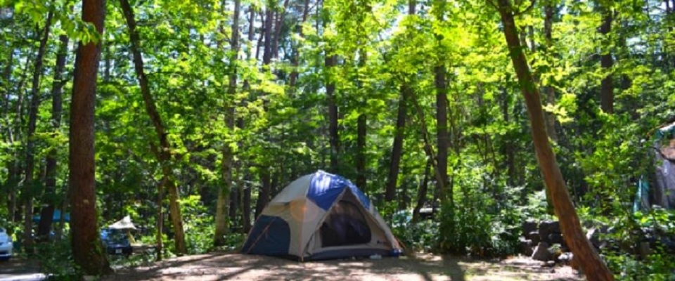 立山グリーンパーク吉峰