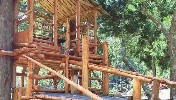 美山くるみの森キャンプ場