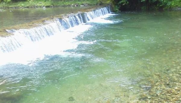 美山くるみの森キャンプ場