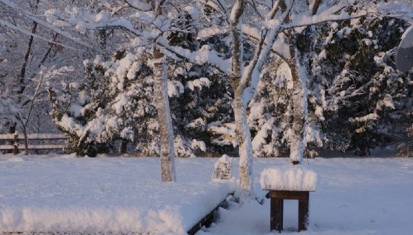 西原高原キャンプ場
