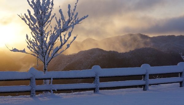 西原高原キャンプ場