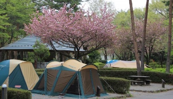 那須野が原公園オートキャンプ場