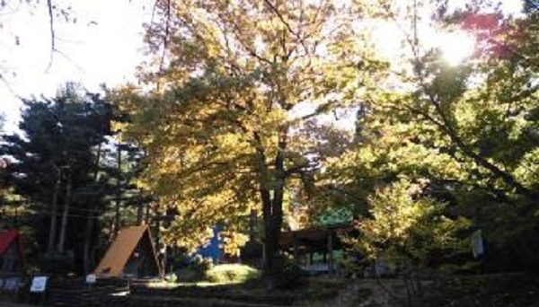 野坂いこいの森キャンプ場