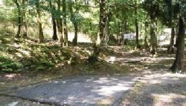 野坂いこいの森キャンプ場