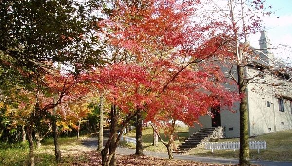 霧島高原国民休養地